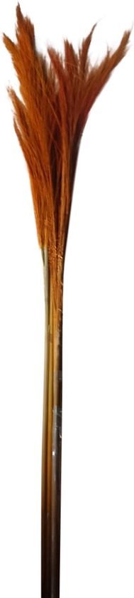 PTMD gedroogde twig geel bamboe steel klein