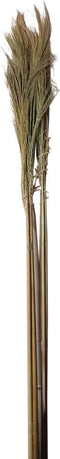 PTMD gedroogde twig natuurlijk bamboe steel klein