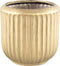 PTMD Harris Gold Ceramic Round Pot Low With Lines L