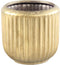 PTMD Harris Gold Ceramic Round Pot Low With Lines M