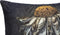 PTMD Hava Black Cotton Velvet Cushion Daisy Flower L
