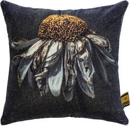 PTMD Hava Black Cotton Velvet Cushion Daisy Flower S