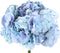 PTMD Hydrangea Flower Blue Big Single Flower