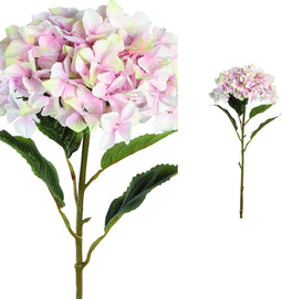 PTMD Hydrangea Flower Hortensia Prikker - 41 x 34 x 111 cm - Roze