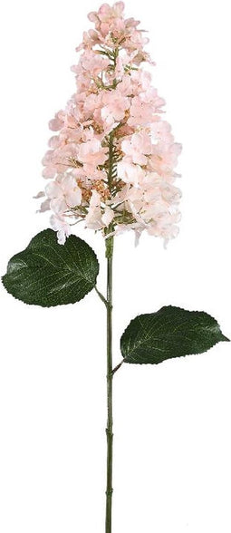 PTMD Hydrangea Flower Pink Cone Hydrangea Stem
