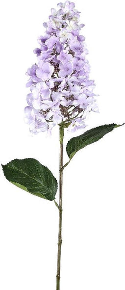 PTMD Hydrangea Flower Purple Cone Hydrangea Stem