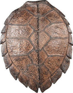 PTMD Jorge Beeld Schildpad Wanddecoratie - 57x44x13 cm - Poly - Bruin