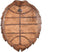 PTMD Jorge Beeld Schildpad Wanddecoratie - 57x44x13 cm - Poly - Bruin
