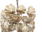 PTMD Julina Ronde Hanglamp Bloem - H73 x Ø36 cm - Metaal - Goud