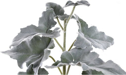 PTMD Kalanchoë Kunsttak - 60 x 50 x 57 cm - Kunststof - Groen