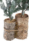 PTMD Kerstboompjes Schors - 35 x 30 x 75 cm - Set van 2 - Groen