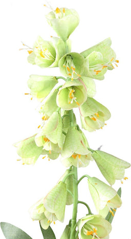 PTMD Kunstbloem Fritillaria - 45x22x89 cm - Plastic - Groen