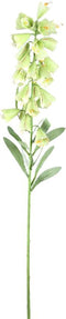 PTMD Kunstbloem Fritillaria - 45x22x89 cm - Plastic - Groen