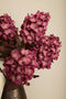 PTMD Kunstbloem Hortensia - 34x14x78 cm - Kunststof - Creme