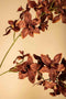 PTMD Kunstbloem Orchid - 38x16x92 cm - Polyester - Bruin
