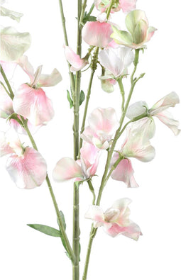 PTMD Kunstbloem Sweetpea - 65x29x122 cm - Plastic - Creme