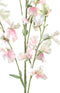 PTMD Kunstbloem Sweetpea - 65x29x122 cm - Plastic - Creme