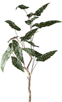 PTMD Kunstplant Begonia - 70x60x94 cm - Polyester - Groen