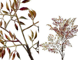 PTMD Kunstplant Bladeren - 58x44x84 cm - Kunststof - Goud