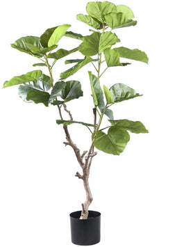 PTMD Kunstplant Ficus - 94x75x122 cm - Polyester - Groen