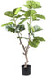 PTMD Kunstplant Ficus - 94x75x122 cm - Polyester - Groen