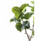 PTMD Kunstplant Ficus - 94x75x122 cm - Polyester - Groen