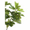 PTMD Kunstplant Fig - 118x110x152 cm - Polyester - Groen