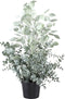 PTMD Kunstplant - Leaves Ecalyptus Grijs - Groen