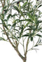 PTMD Kunstplant Olive - 110x70x156 cm - Polyester - Groen