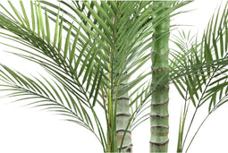 PTMD Kunstplant Palm - 160x160x248 cm - Plastic - Zwart