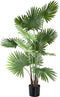 PTMD Kunstplant Palm Tree - 80x80x134 cm - Plastic - Zwart