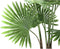 PTMD Kunstplant Palm Tree - 80x80x134 cm - Plastic - Zwart