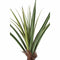 PTMD Kunstplant Pandanus - 130x130x150 cm - Polyester - Groen