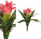 PTMD Kunstplant Succulent roze bromelia bush 14 X 13 X 18