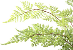 PTMD Kunstplant Varen - 65x60x60 cm - Plastic - Groen