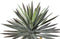 PTMD Kunstplant Yucca - 66x66x90 cm - Plastic - Zwart