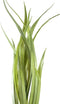 PTMD Kunstplant Yucca - 90x69x120 cm - Polyester - Groen