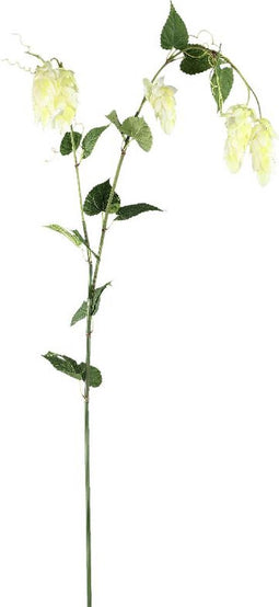 PTMD Kunsttak Hops Spray - 50x92x146 cm - Plastic - Creme