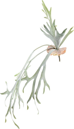 PTMD Leaves Kunsttak - 82x30x93 cm - PE - Groen