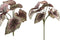 PTMD Leaves Plant Begonia Kunsttak - 17 x 22 x 33 cm - Paars/groen