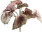 PTMD Leaves Plant Begonia Kunsttak - 17 x 22 x 33 cm - Paars/groen