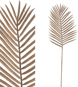 PTMD leaves plant bruin palm blad steel