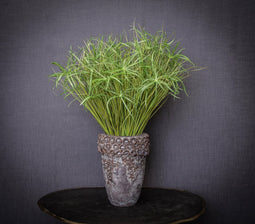 PTMD Leaves Plant Cypress Gras Kunsttak - 53 x 30 x 80 cm - Groen