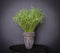 PTMD Leaves Plant Cypress Gras Kunsttak - 53 x 30 x 80 cm - Groen