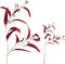 PTMD Leaves Plant Eucalyptus Kunsttak - 42 x 26 x 80 cm - Rood/goud