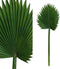 PTMD Leaves Plant Fan Palm Kunstblad - 35 x 34 x 94 cm - Groen