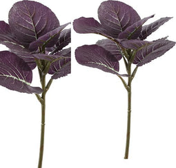 PTMD Leaves Plant Galax Blad Kunsttak - 15 x 17 x 28 cm - Paars