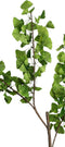 PTMD Leaves Plant Ginkoblad Kunsttak - 93 x 50 x 168 cm - Groen