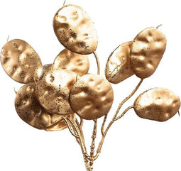 PTMD leaves plant goud eucalyptus struik