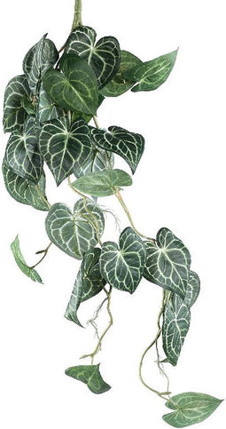 PTMD Leaves Plant Green Hosta Leaf Hanging Bush